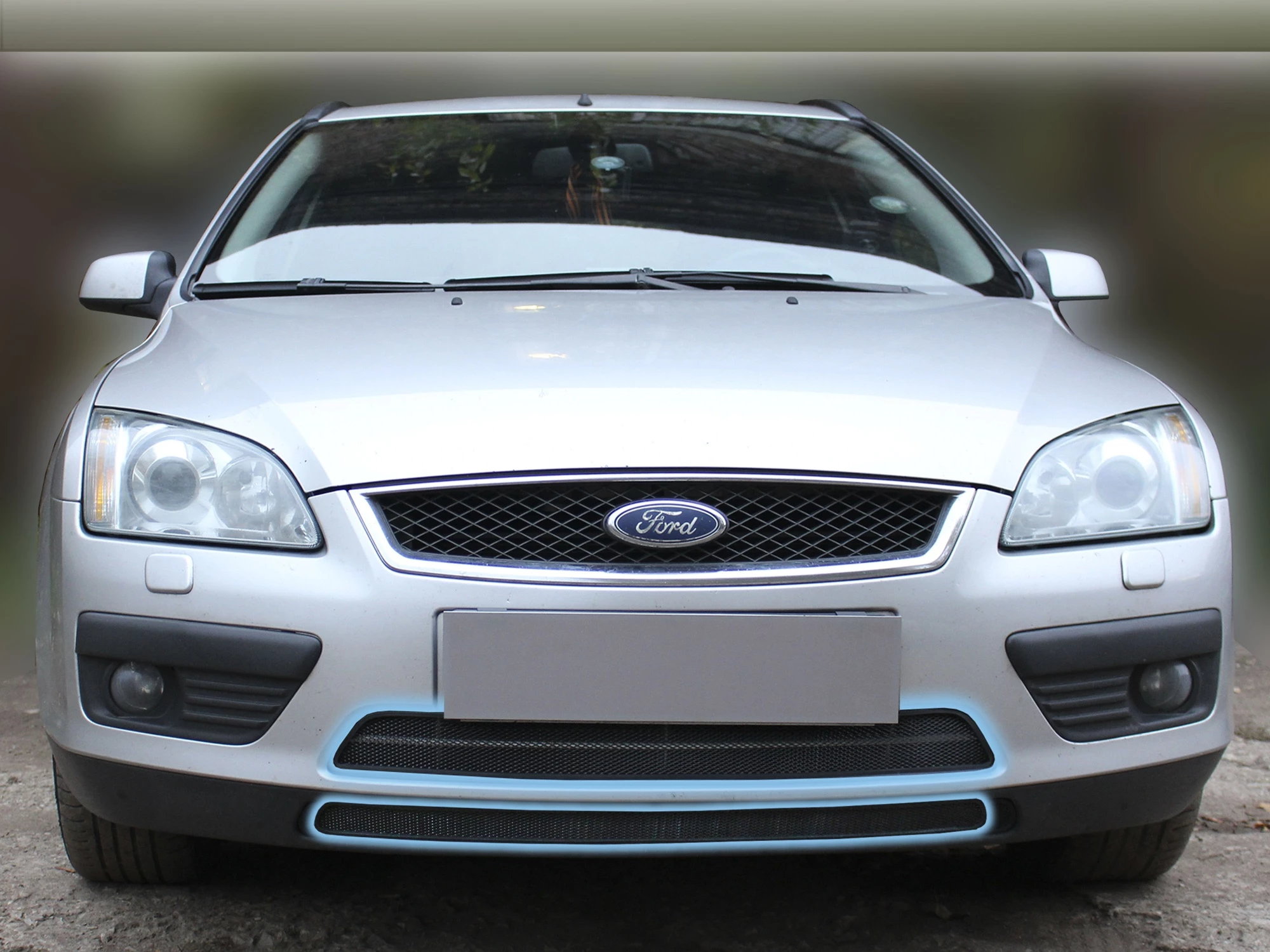 Защитная сетка радиатора 2 части для Ford Focus II