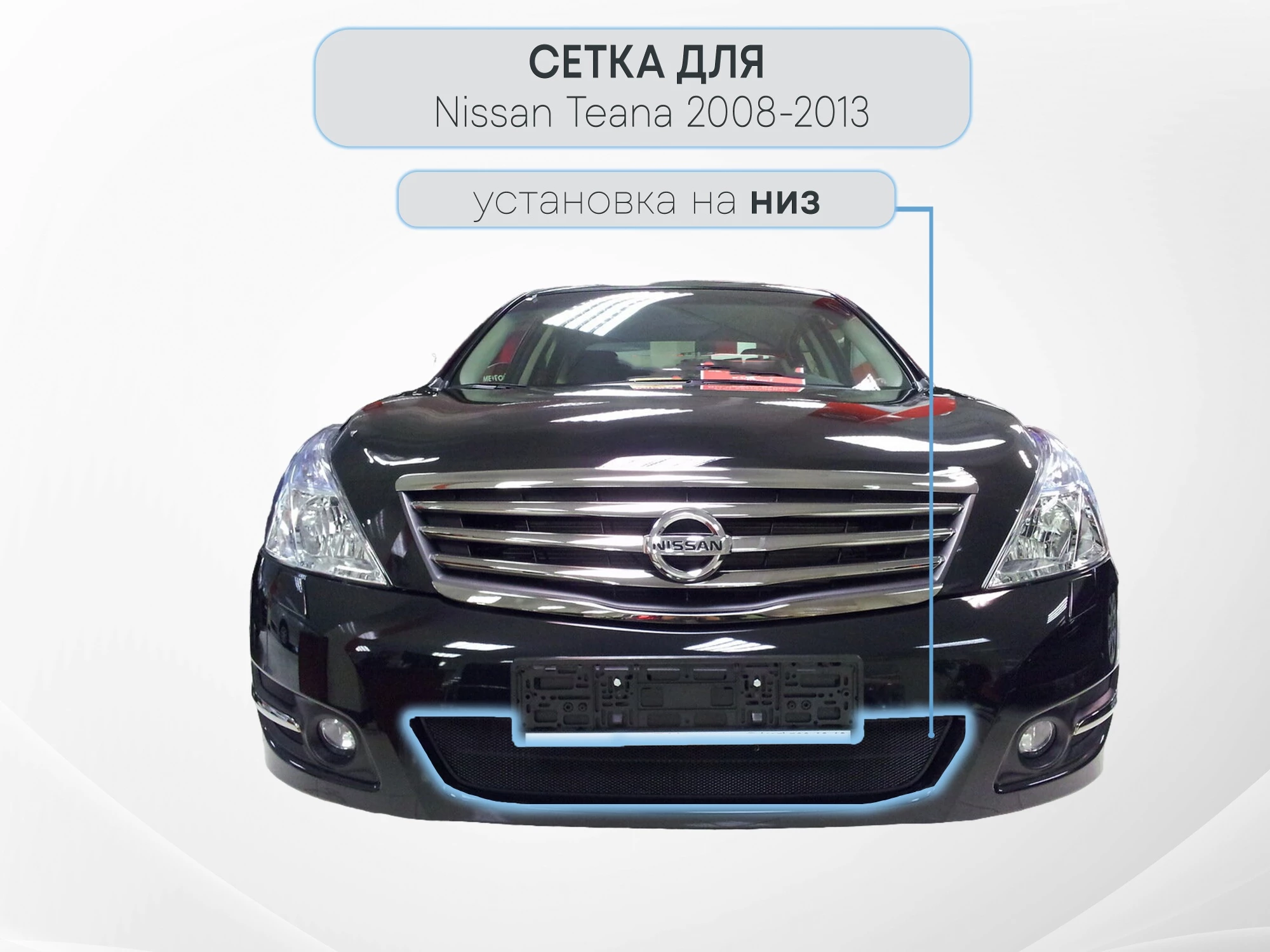 Защитная сетка радиатора для Nissan Teana II