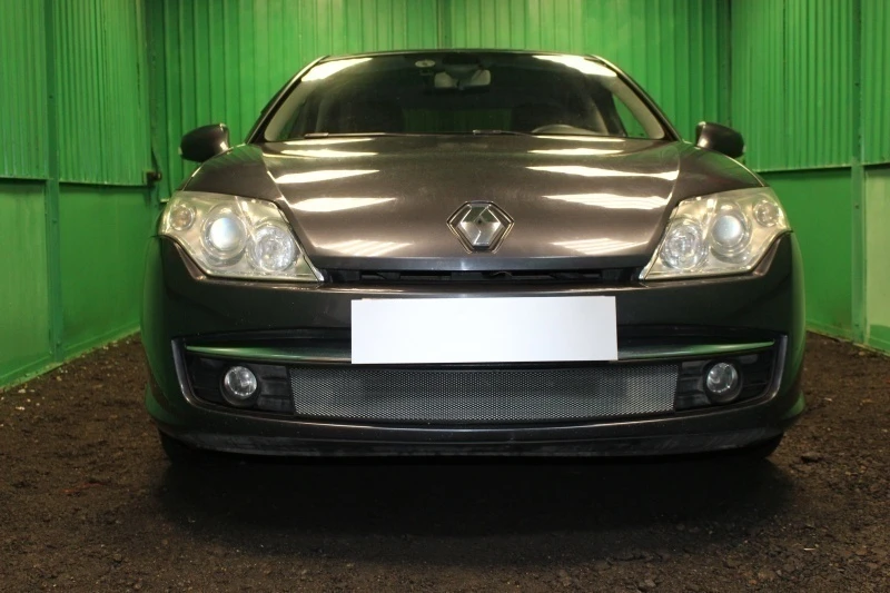 Защитная сетка радиатора для Renault Laguna III Хром Стрелка 11 RLAG.07.chrome