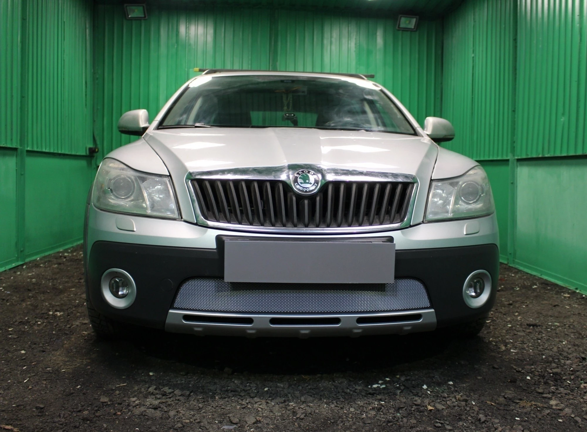 Защитная сетка радиатора для Skoda Octavia II (A5)