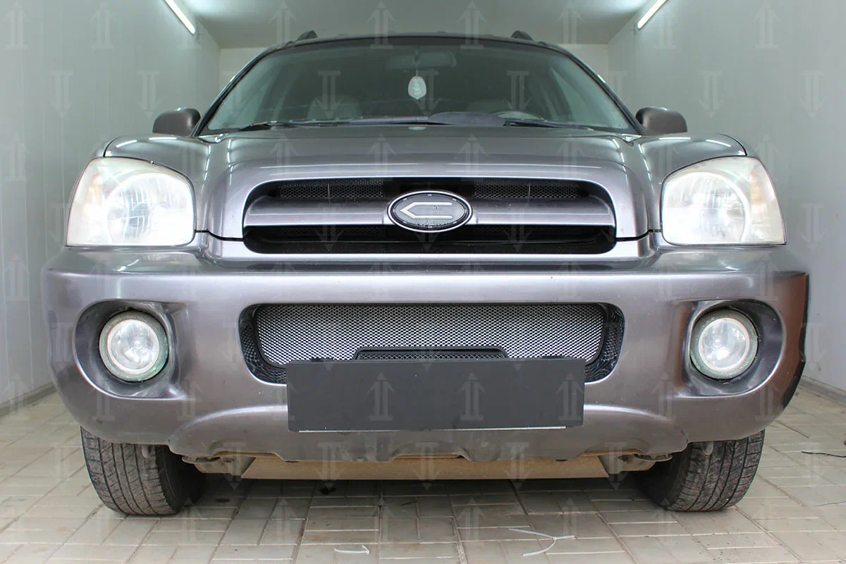 Защитная сетка радиатора низ для Hyundai Santa Fe I