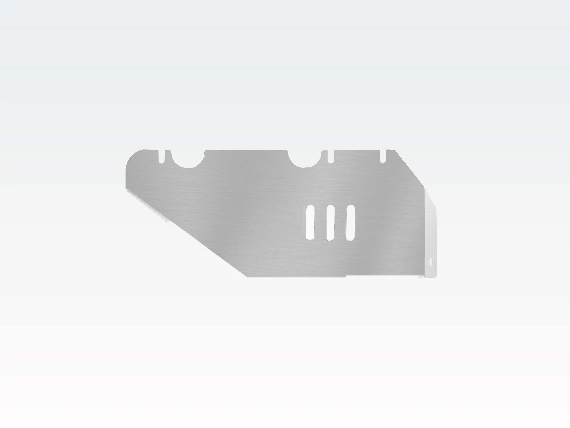 Защита РК для TANK 300  Alfeco ALF6604AL