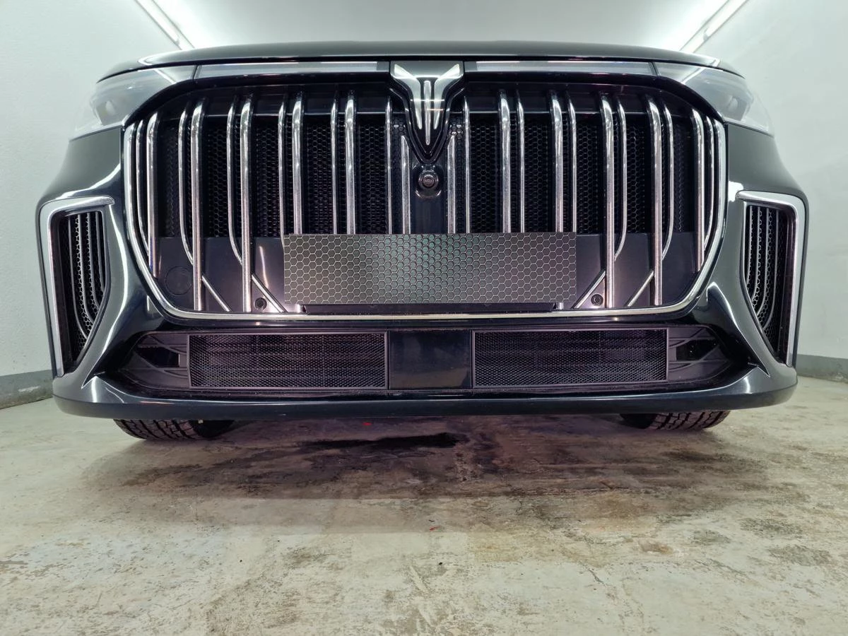 Защитная сетка радиатора низ 2 части для Voyah Dream I Черный