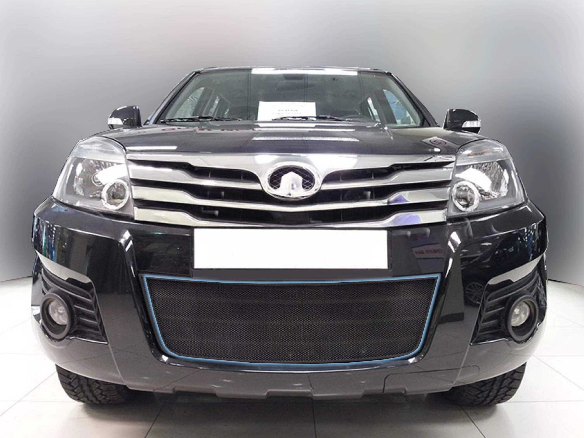 Защитная сетка радиатора низ для Great Wall Hover H3 I Черный