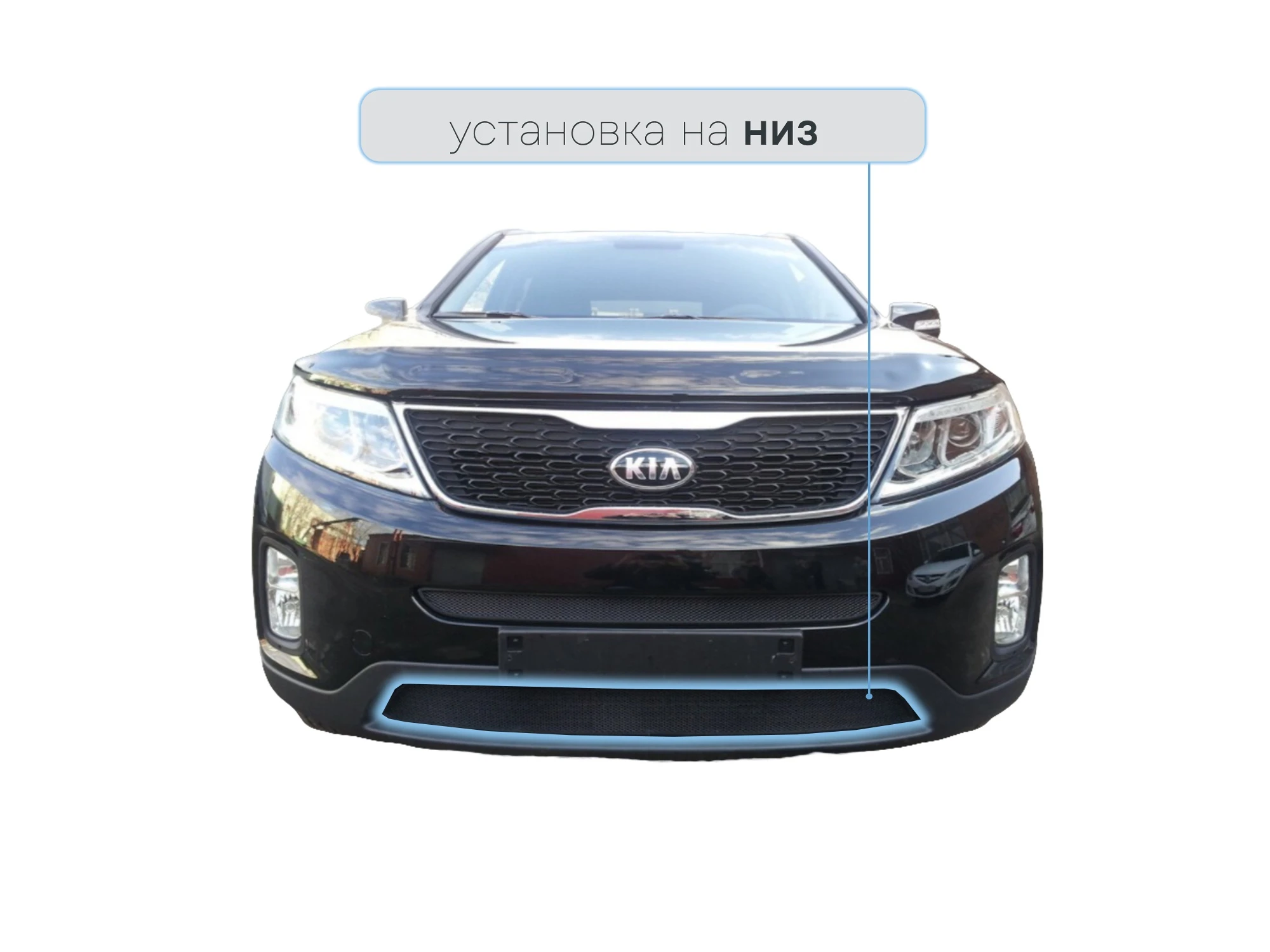 Защитная сетка радиатора низ для Kia Sorento II Рестайлинг