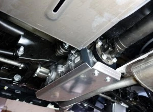 Защита дифференциала для Nissan Terrano III (D10)