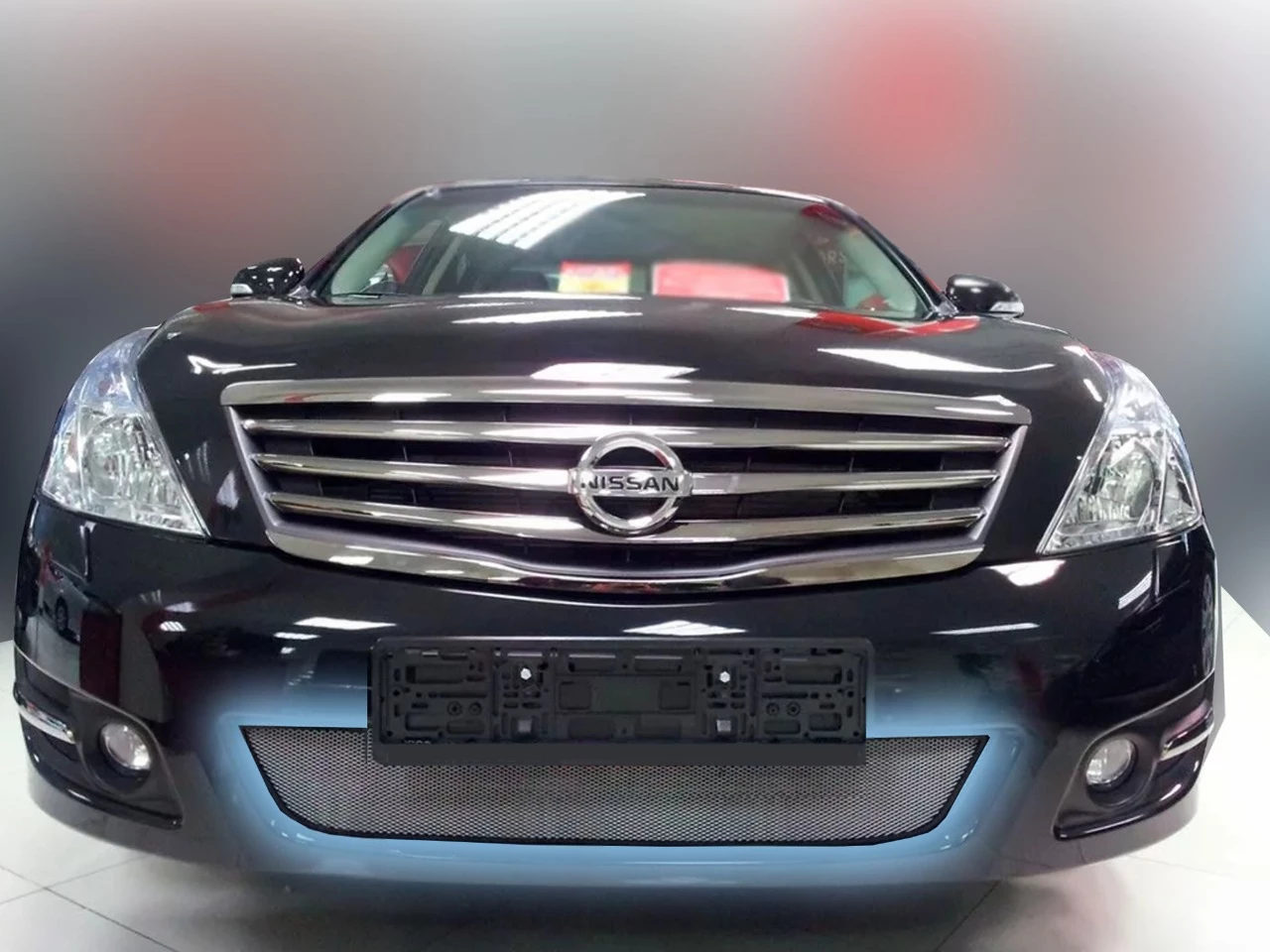 Защитная сетка радиатора для Skoda Octavia II (A5) Рестайлинг