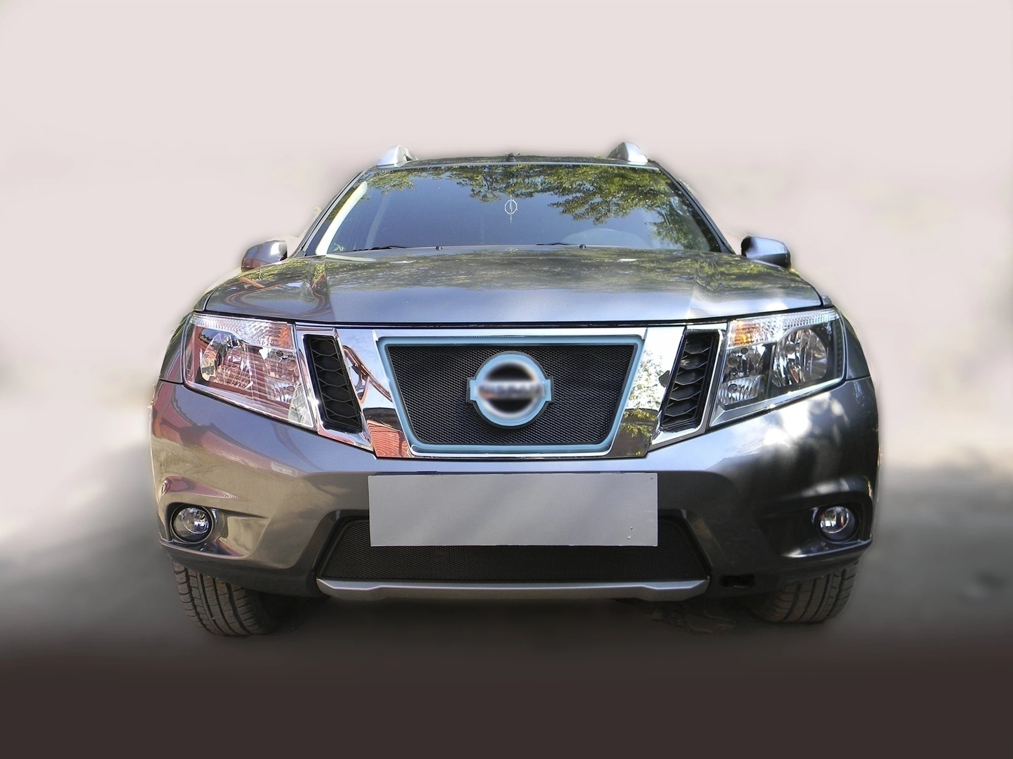 Защитная сетка радиатора верх для Nissan Terrano III (D10)