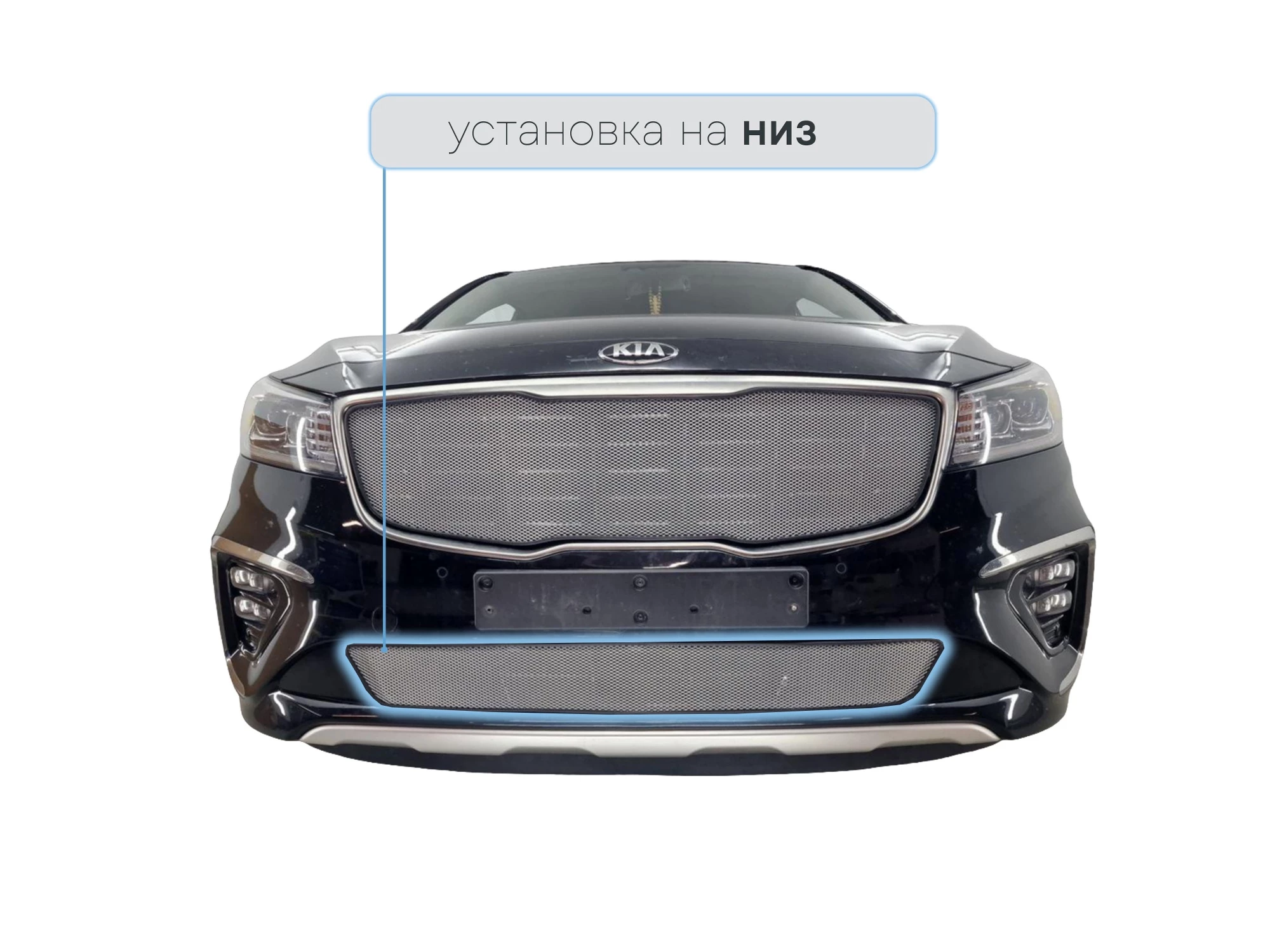 Защитная сетка радиатора низ для Kia Carnival (YP) III Рестайлинг