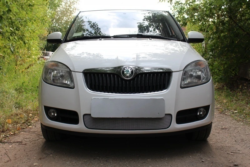 Защитная сетка радиатора для Skoda Roomster I Рестайлинг Хром Стрелка 11 SKFB.chrome