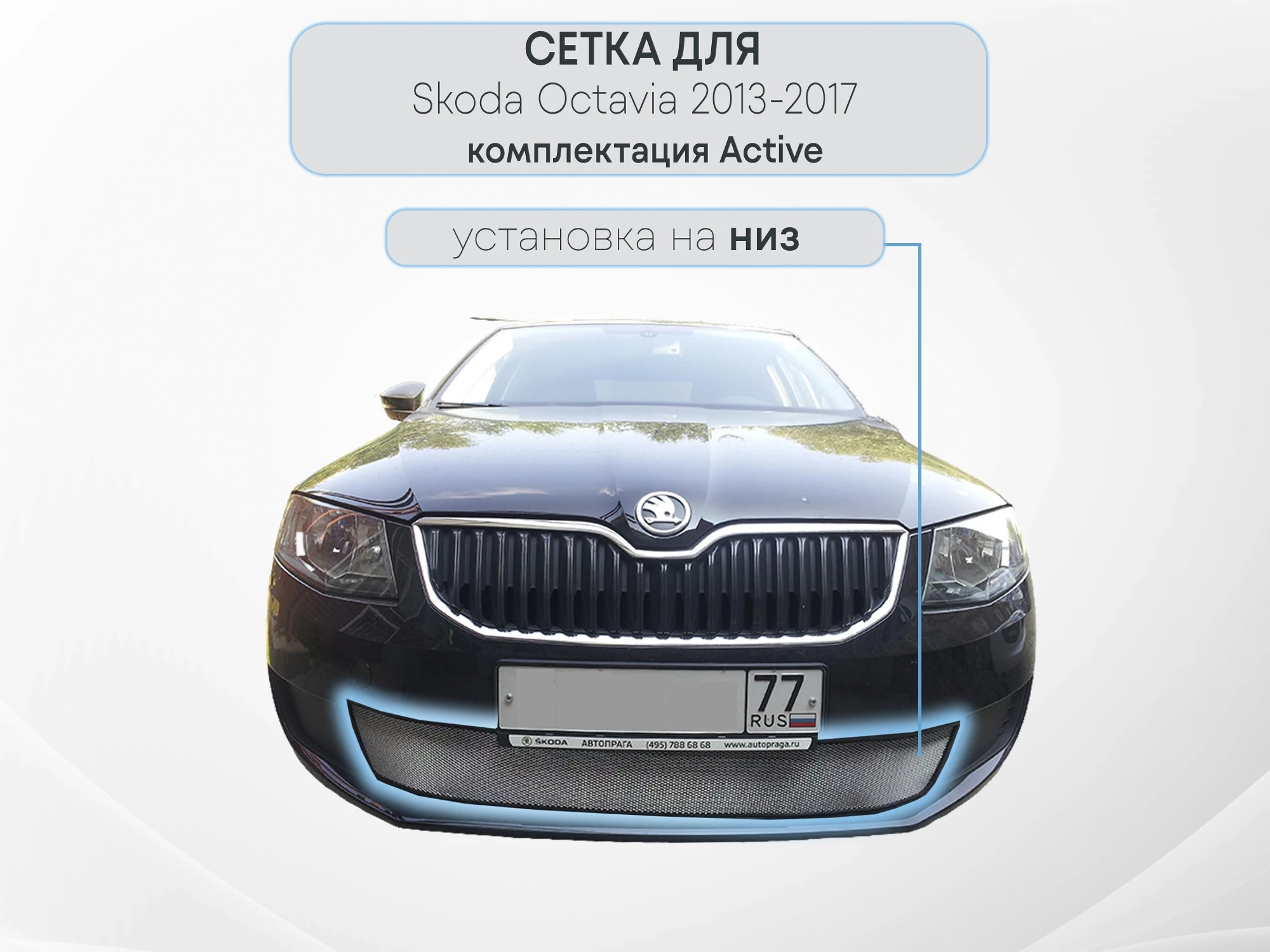 Защитная сетка радиатора для Skoda Octavia III (A7)