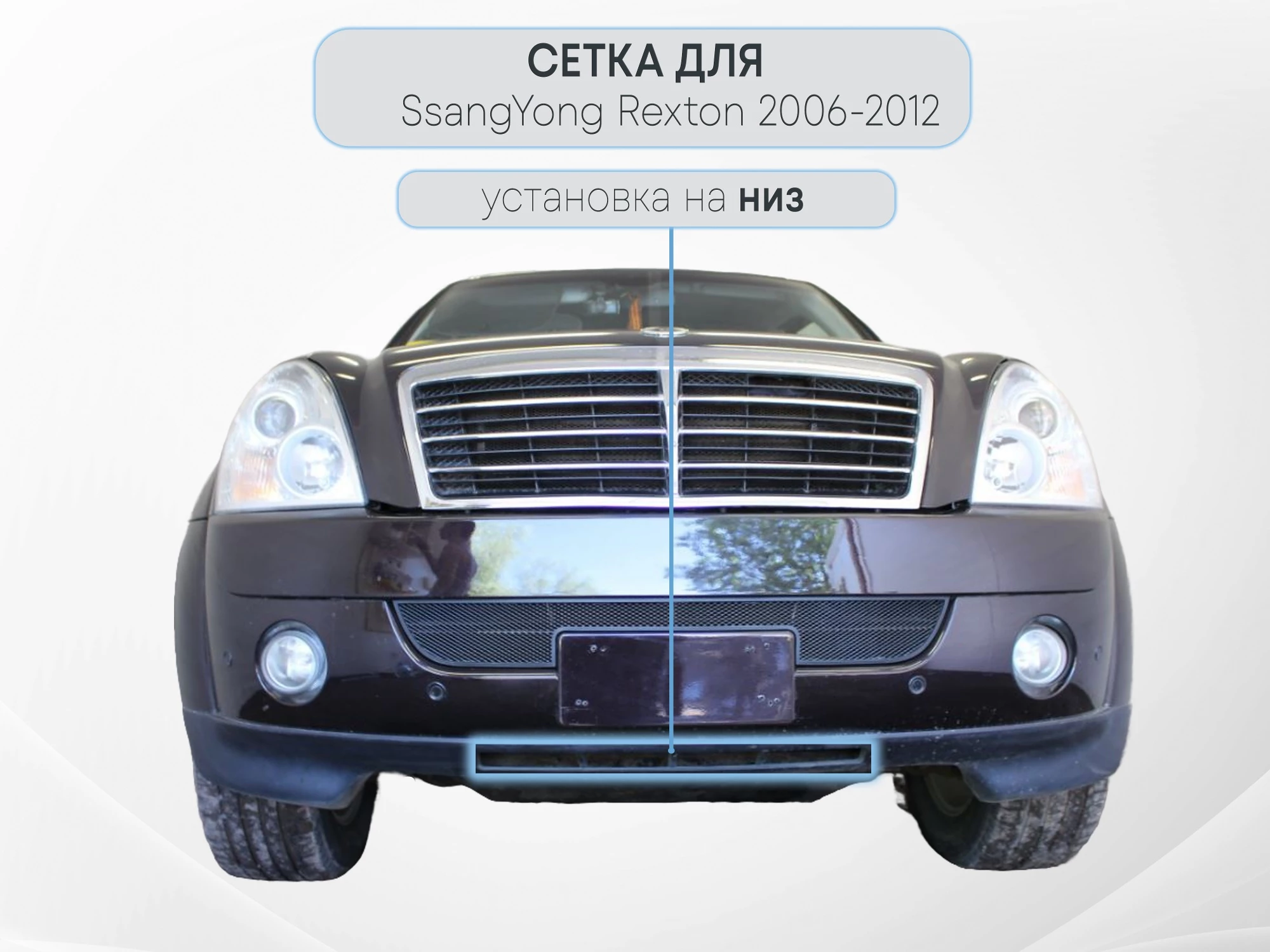 Защитная сетка радиатора для SsangYong Rexton II Черный