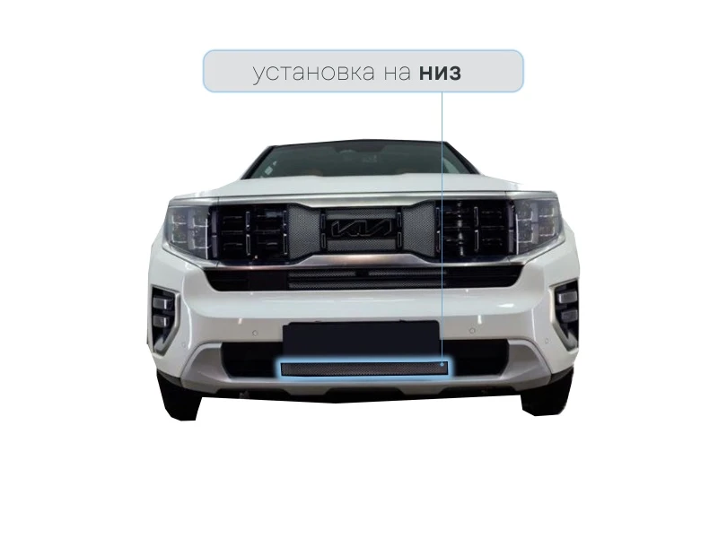 Защитная сетка радиатора низ для Kia Mohave I Рестайлинг 2 Черный Стрелка 11 KMOH19.bot.chrome