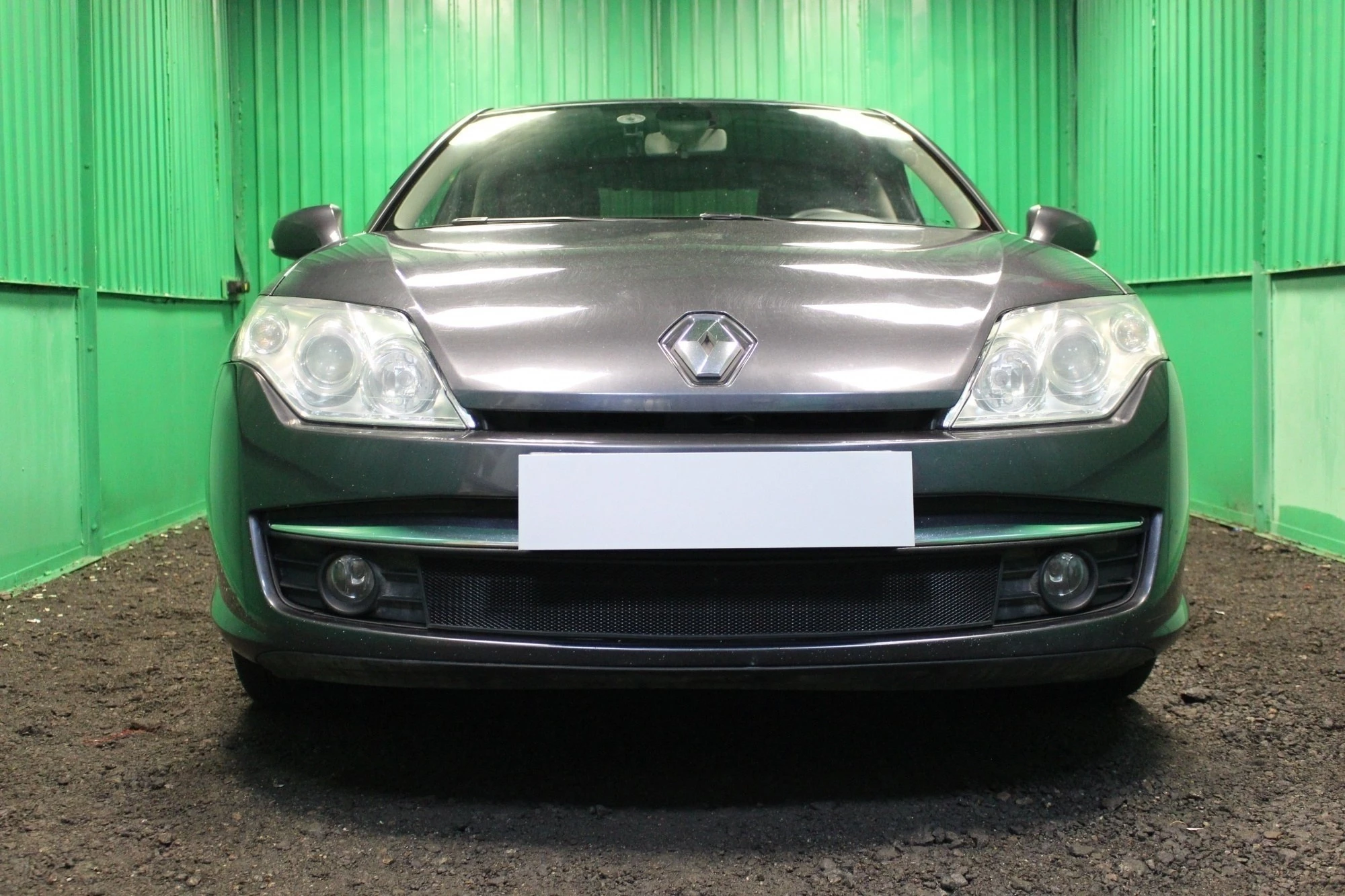 Защитная сетка радиатора для Renault Laguna III