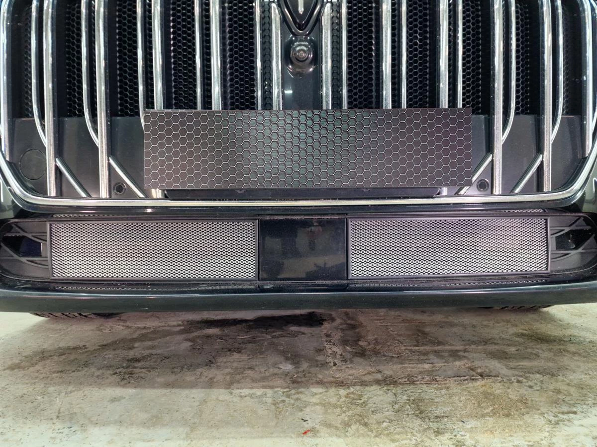 Защитная сетка радиатора низ 2 части для Voyah Dream I Хром