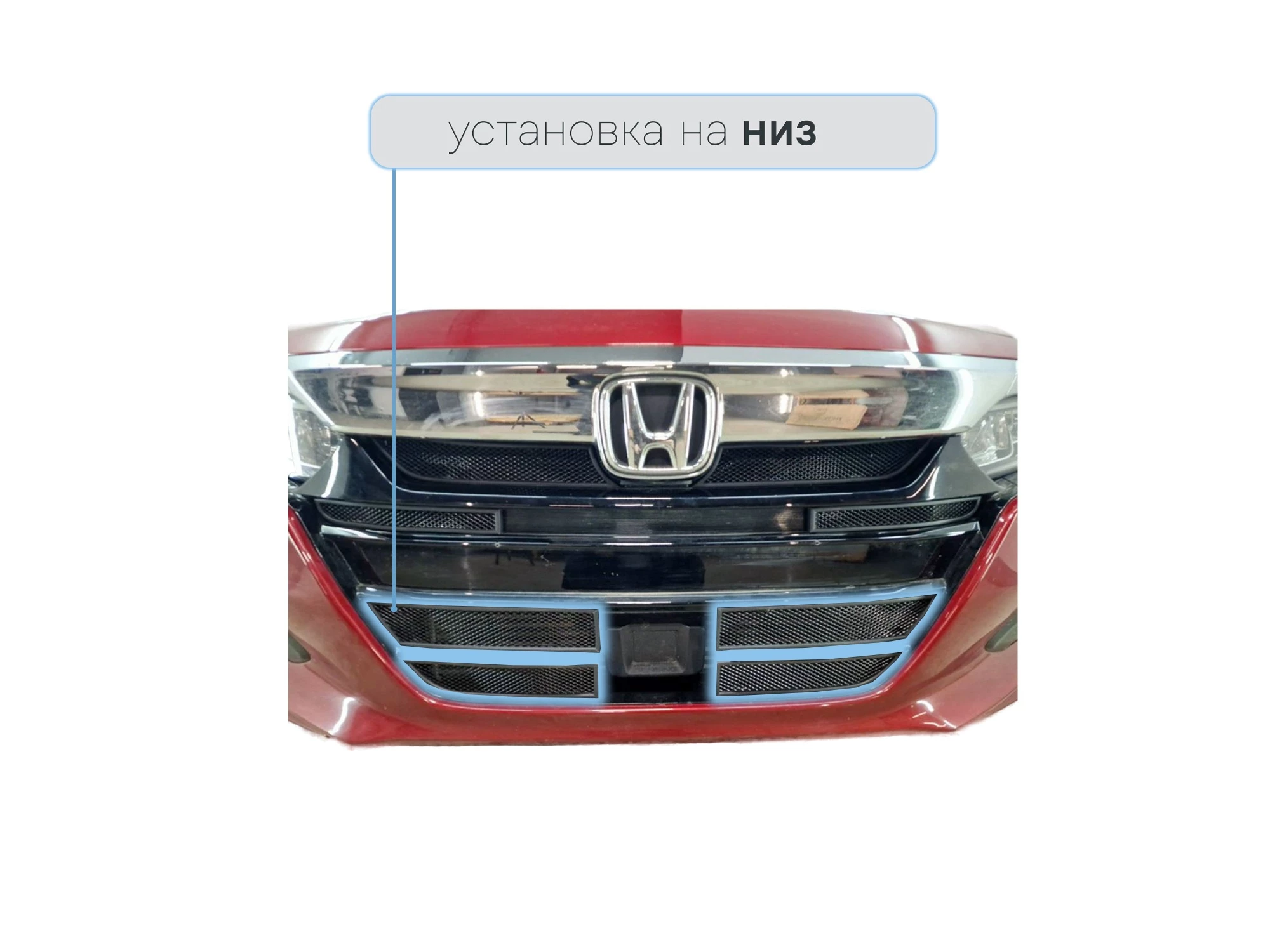 Защитная сетка радиатора низ 4 части для Honda Accord X Черный Стрелка 11 HONAC19.bot.black