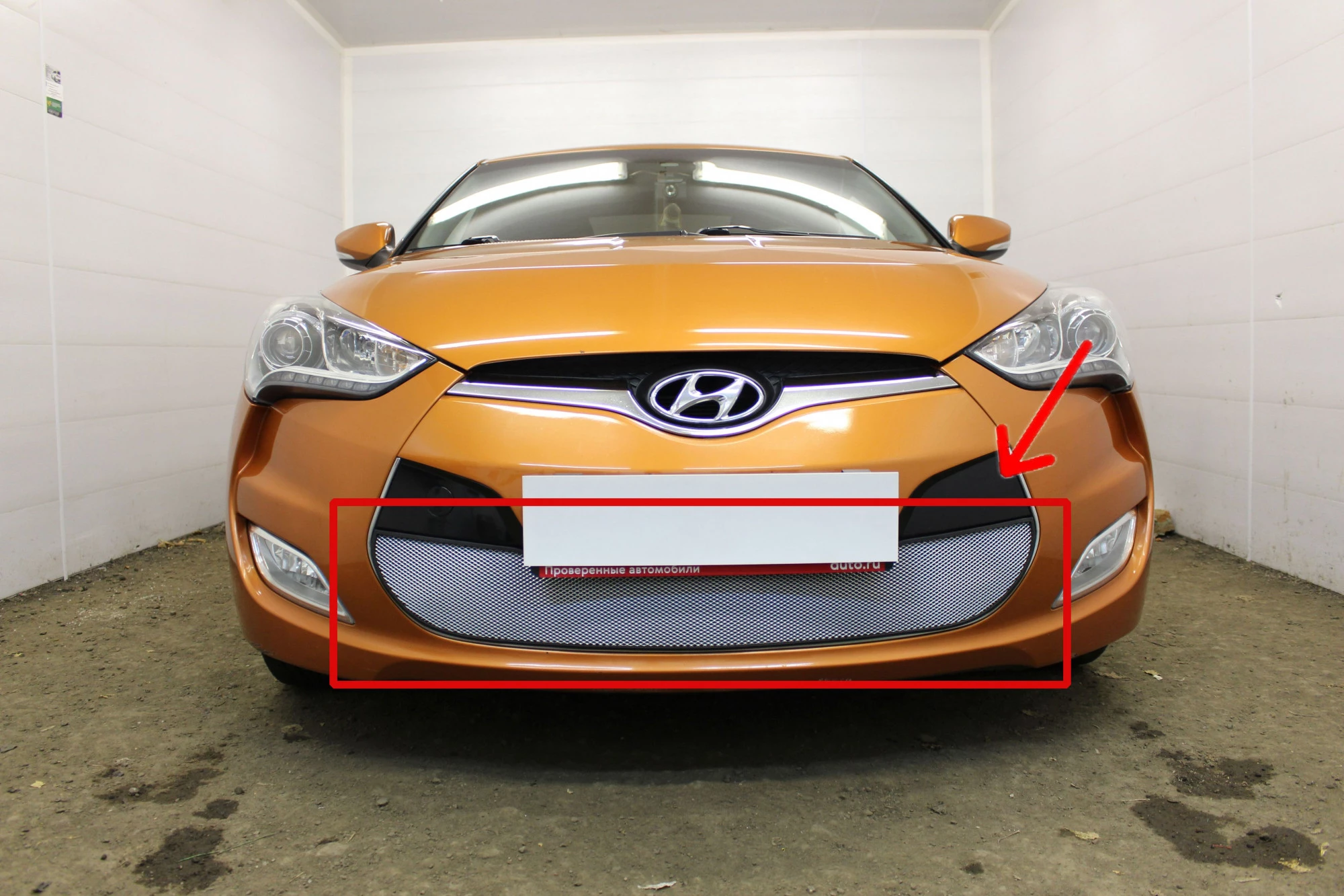 Защитная сетка радиатора низ для Hyundai Veloster I