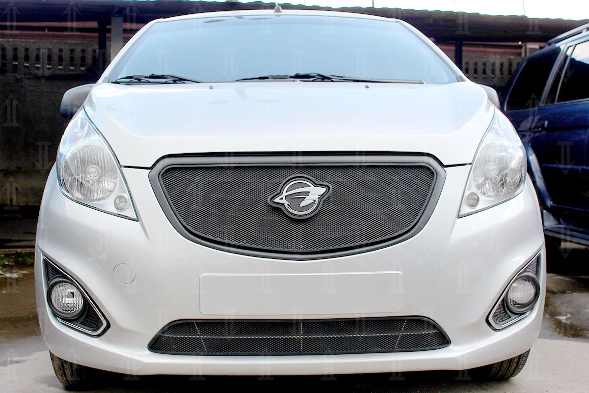 Защитная сетка радиатора низ для Ravon R2