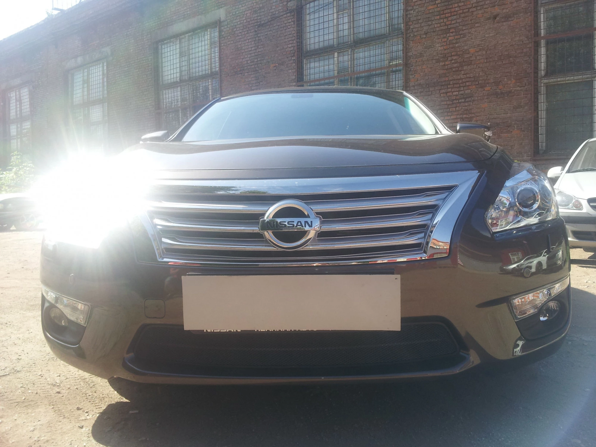 Защитная сетка радиатора для Nissan Teana III