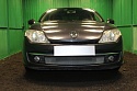 Защитная сетка радиатора для Renault Laguna III