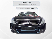 Защитная сетка радиатора для Nissan Teana II Рестайлинг