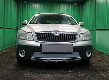 Защитная сетка радиатора для Skoda Octavia II (A5)