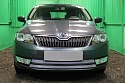Защитная сетка радиатора 2 части для Skoda Rapid I