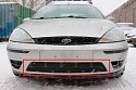 Защитная сетка радиатора низ для Ford Focus I Рестайлинг