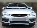 Защитная сетка радиатора 2 части для Ford Focus II