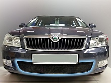 Защитная сетка радиатора для Skoda Octavia II (A5) Рестайлинг