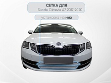 Защитная сетка радиатора для Skoda Octavia III (A7) Рестайлинг