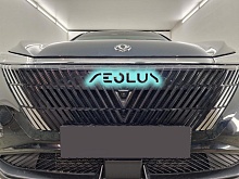 Наклейки на передний логотип для Dongfeng Aeolus Mage I